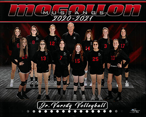 Junior Varsity Volleyball Team