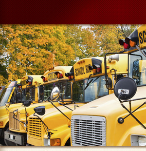 School buses lined up outside